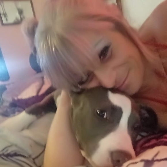 Meet your Posher, Gabriel - Picture 5 of 16